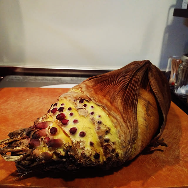 escargotさんの実例写真