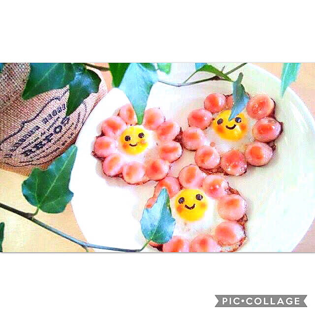 Romeさんの実例写真