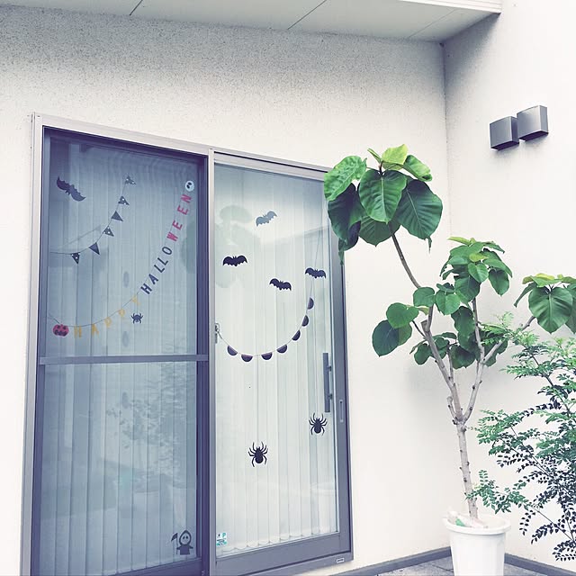 emさんの実例写真