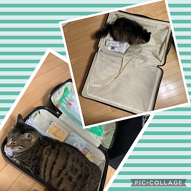 yukarin-gardenさんの実例写真