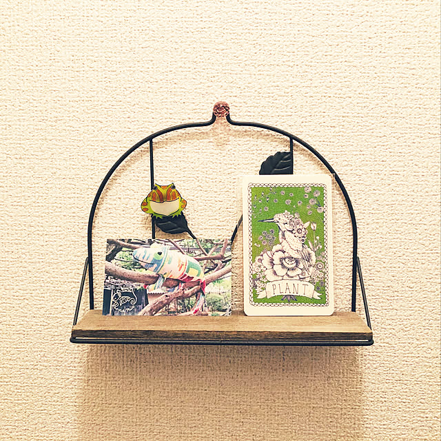 masaさんの実例写真