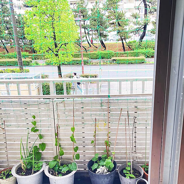 mintmamaさんの実例写真