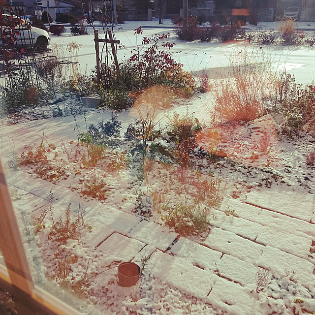 longneiさんの実例写真