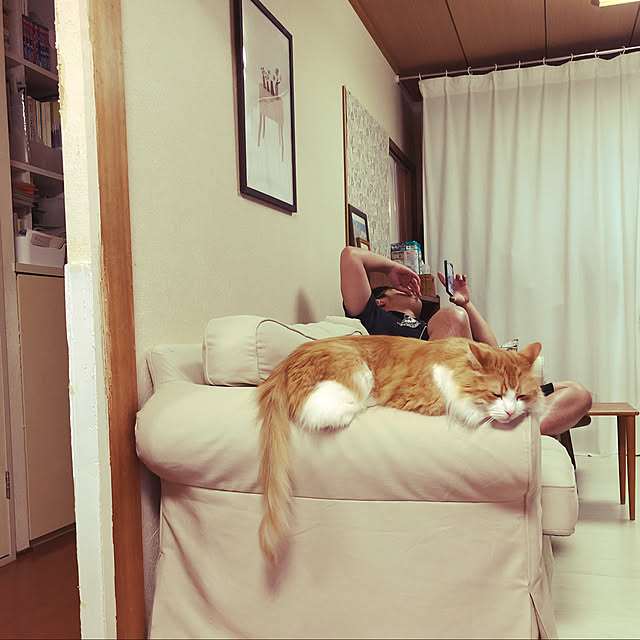 uchidaizuさんの実例写真