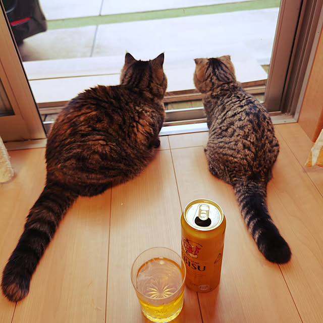 noguriさんの実例写真