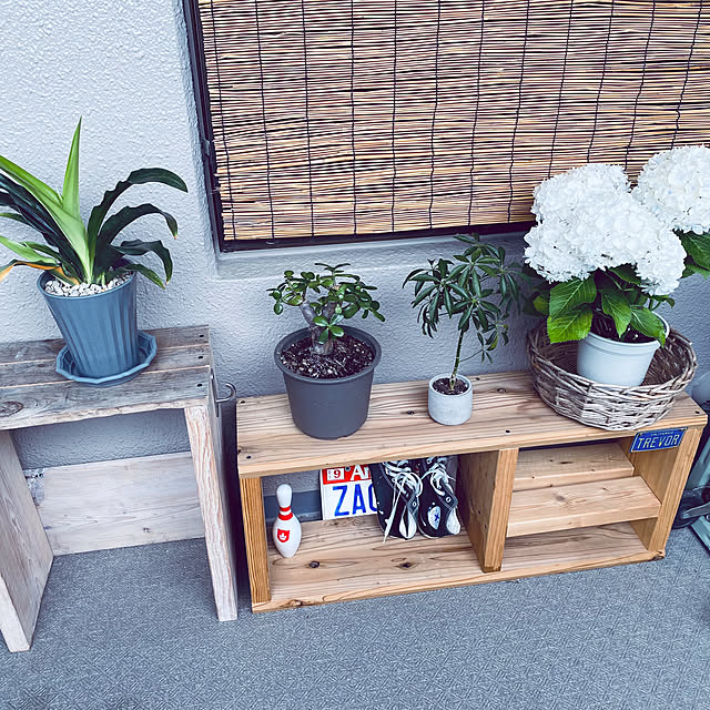 玄関/入り口/観葉植物/アンティーク/DIY/ナチュラルのインテリア実例 - 2025-06-08 10:31:46