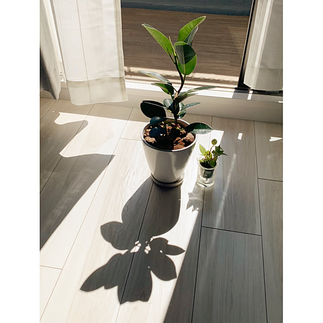 olaf821さんの実例写真