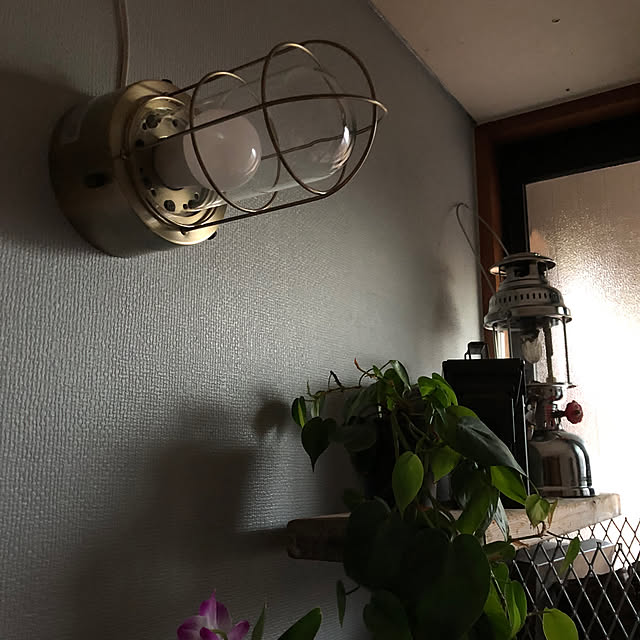 Peroさんの部屋