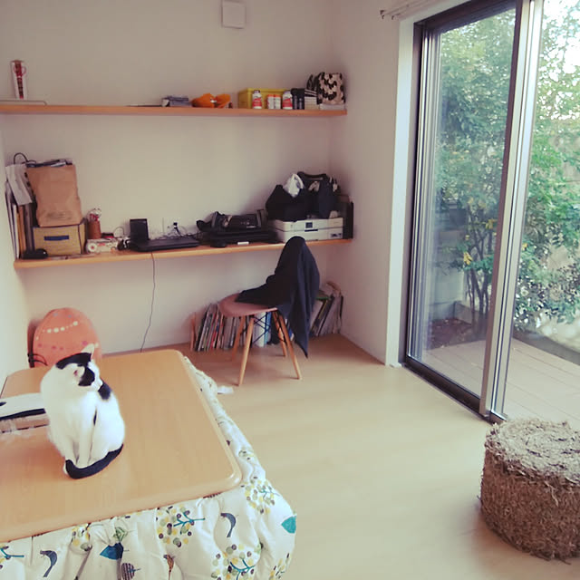 実例写真