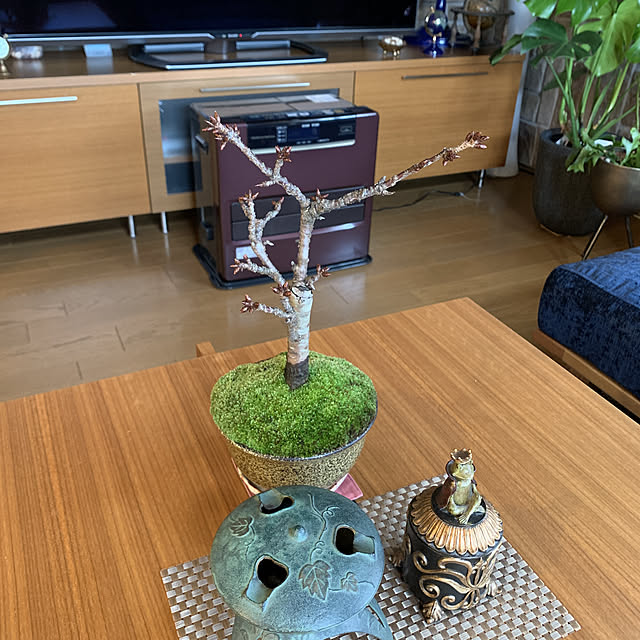 mama_sanさんの実例写真