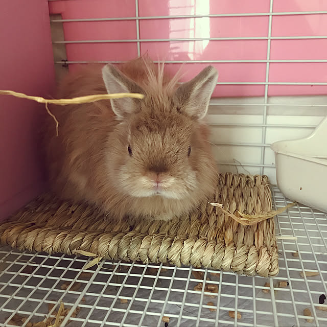 mさんの実例写真