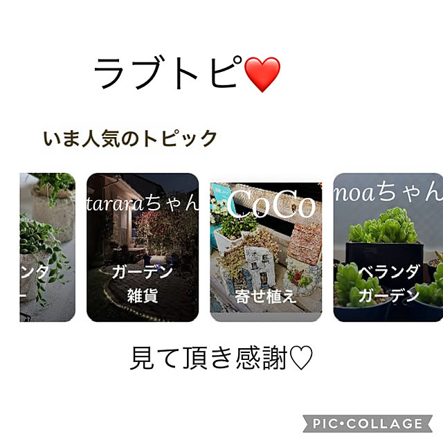 CoCo0617さんの実例写真
