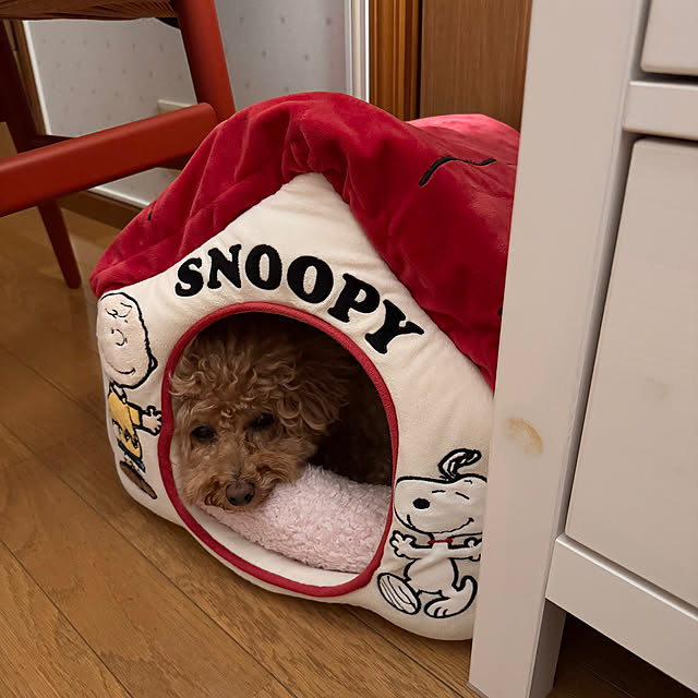 chaimomさんの部屋