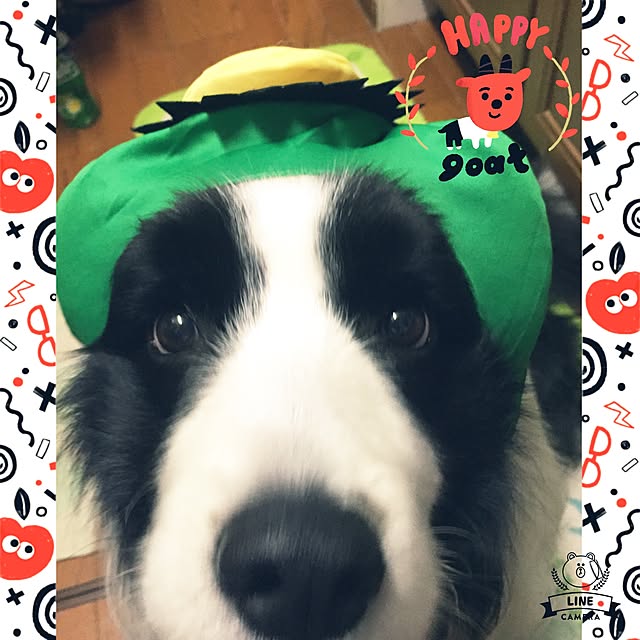 ronさんの実例写真