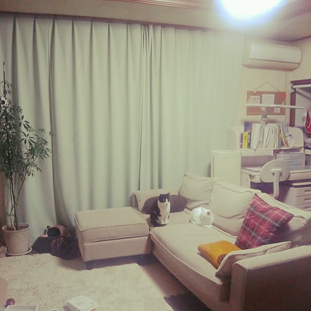 snowさんの実例写真