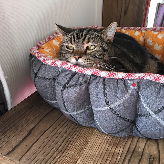 mikomaruさんの実例写真