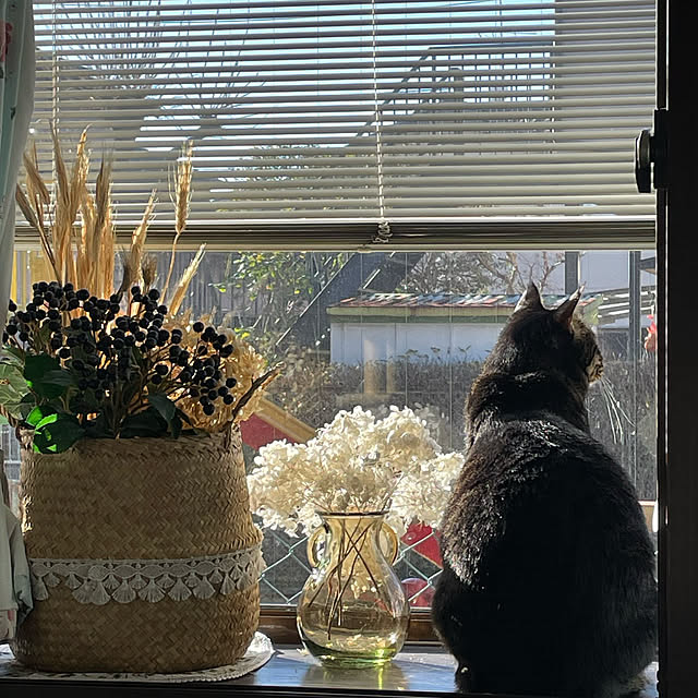 momocchiさんの実例写真