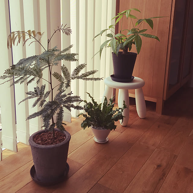 wood------k-----yさんの実例写真