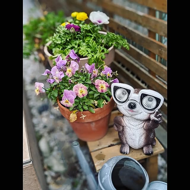 mofukoさんの部屋