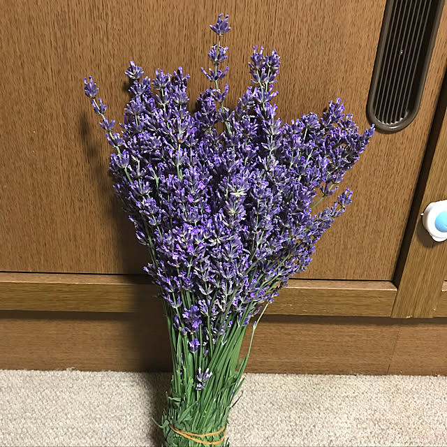 sayuさんの実例写真