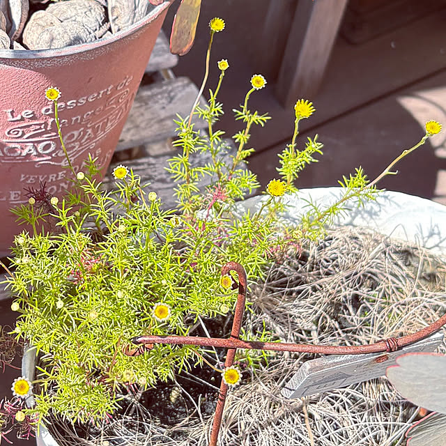 yukkoさんの部屋