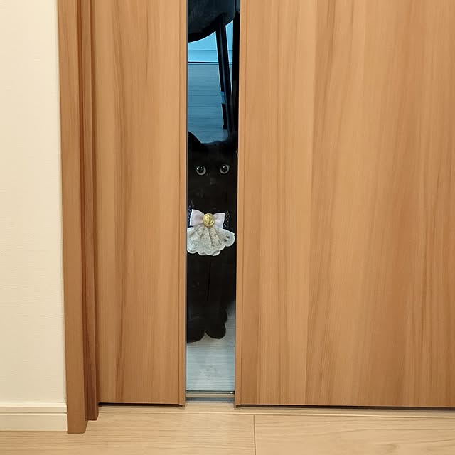 sakuraさんの部屋