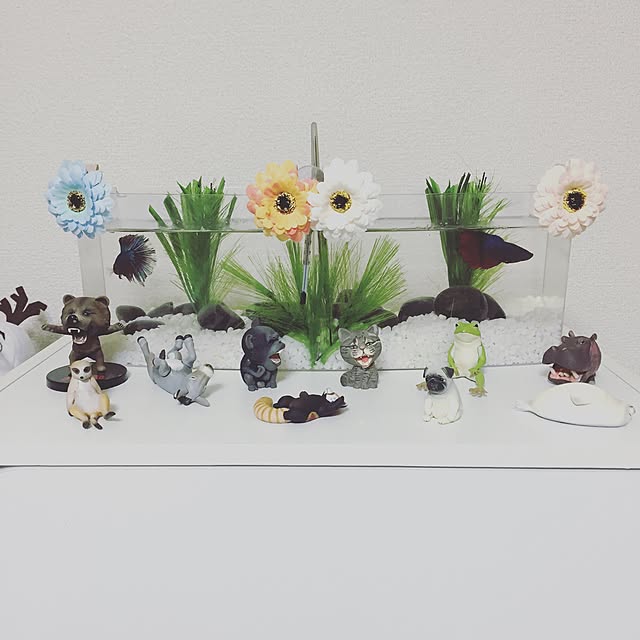 tan3navieさんの実例写真