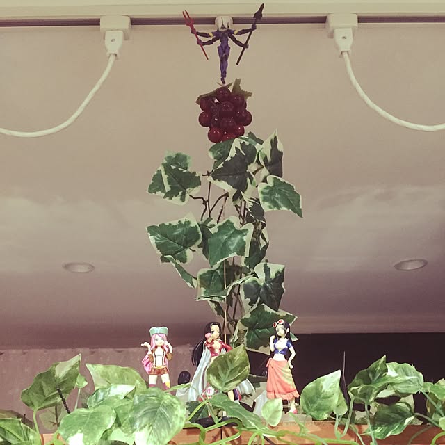 実例写真