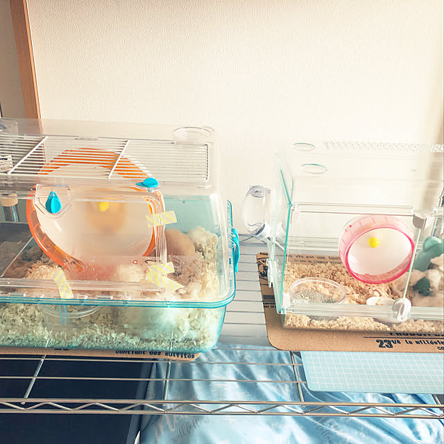 棚のインテリア実例 - 2018-11-30 12:11:12