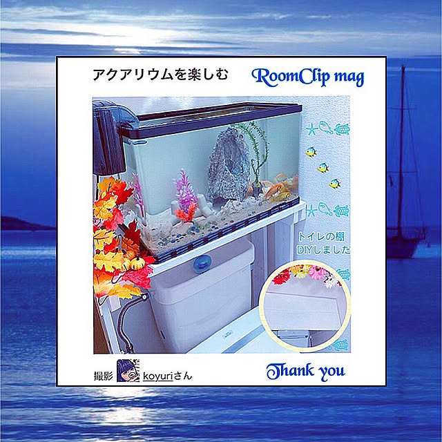 koyuriさんの実例写真