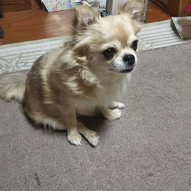 kiraさんの実例写真