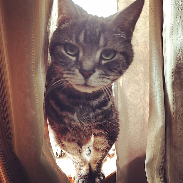 kyoさんの実例写真