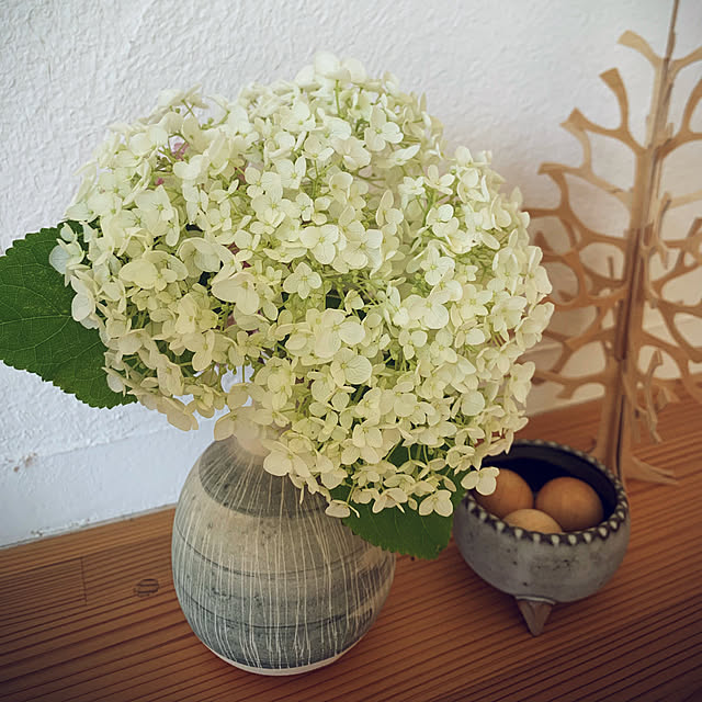 tarvi_meriさんの実例写真