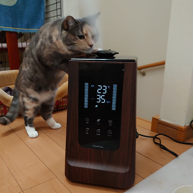 shinobuさんの実例写真