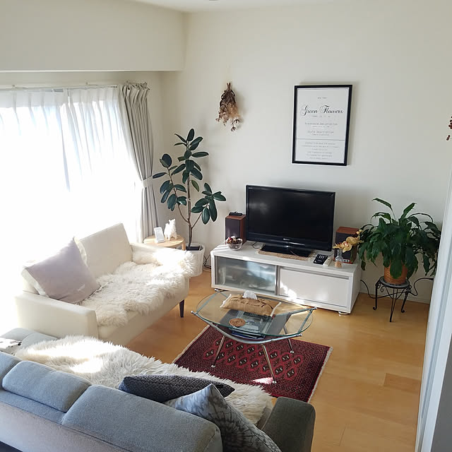 部屋全体/植物のある暮らし/マンション暮らし/ナチュラル/観葉植物...などのインテリア実例 - 2022-02-06 09:23:31