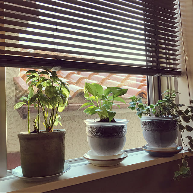 再利用インテリア/観葉植物/カフェ風/北欧/リノベーション...などのインテリア実例 - 2020-04-07 07:15:09