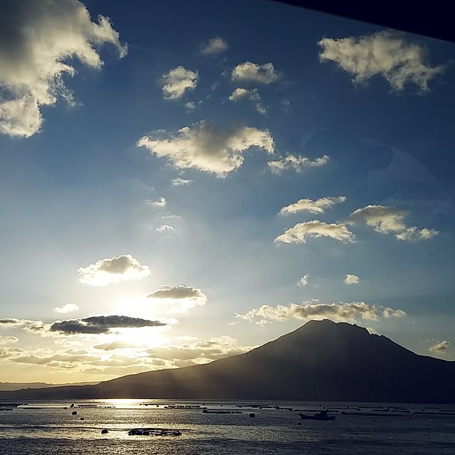 実例写真