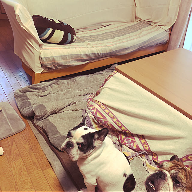 chi_gogaさんの実例写真