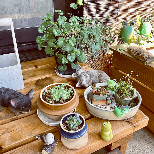 CoCo0617さんの実例写真