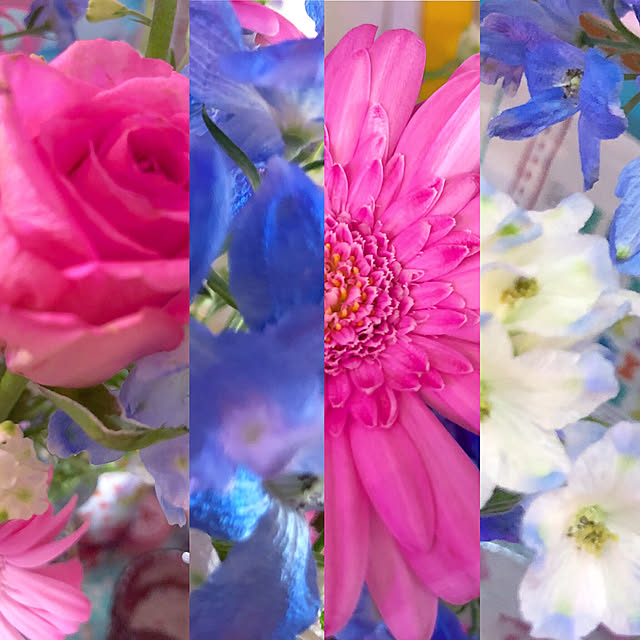 pochi3461さんの実例写真