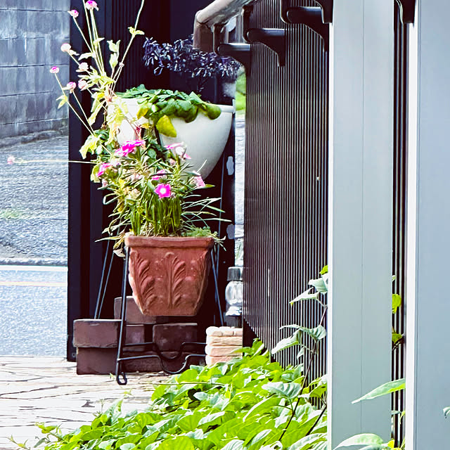 chacoさんの実例写真