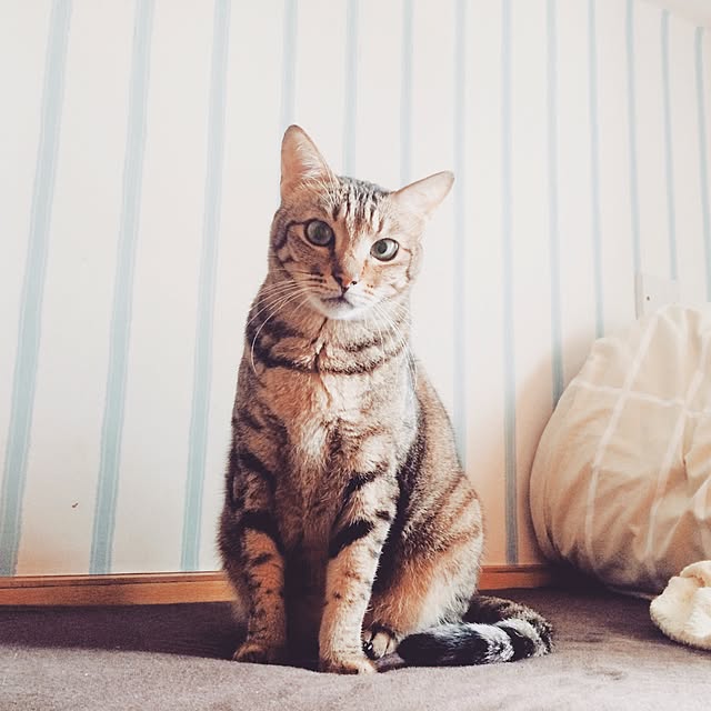 Ngoさんの実例写真