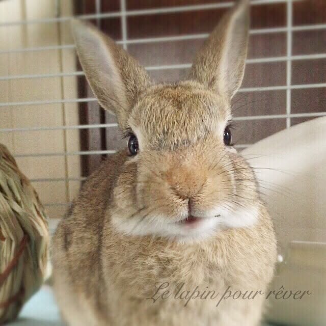 mashiさんの実例写真