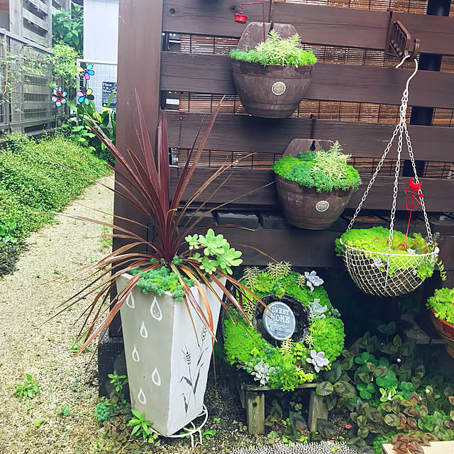 portulacaさんの実例写真