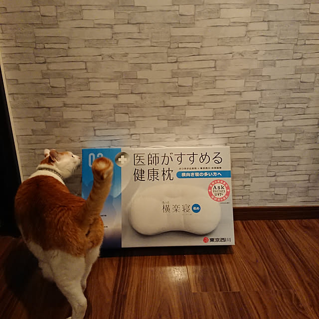 porinさんの実例写真