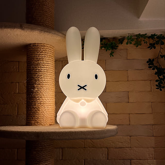 hamanekoさんの実例写真