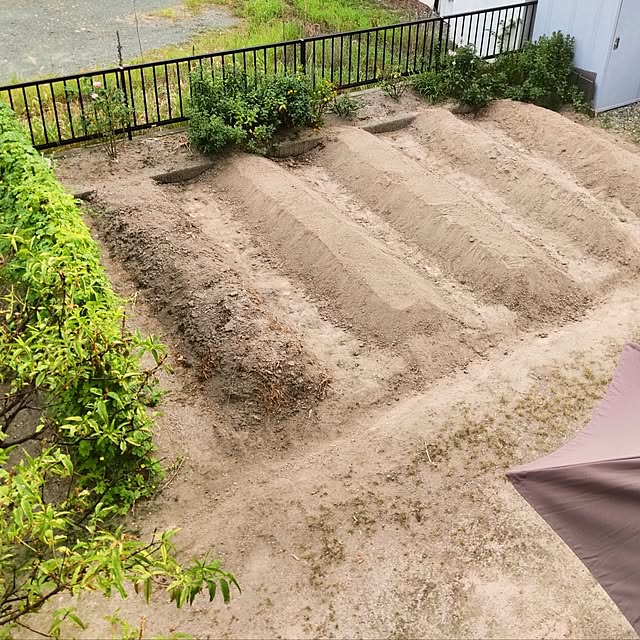 mtmtさんの実例写真