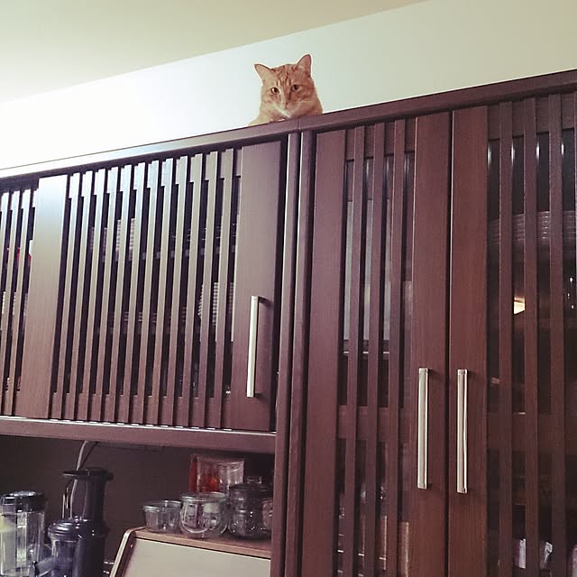 sanagonさんの実例写真