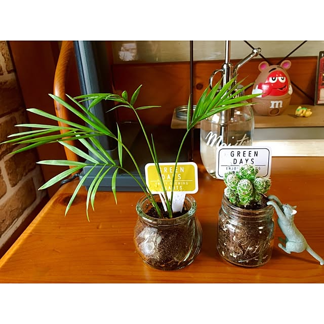 ericaさんの実例写真