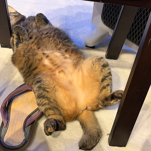 rapiさんの実例写真